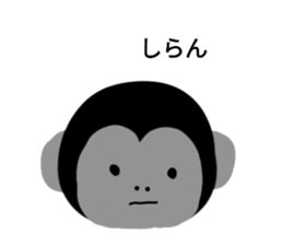 770537764