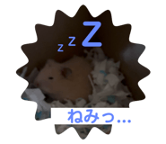 770538227