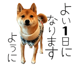770538714