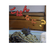 770539147
