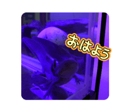 770539157