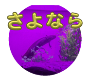 770539158