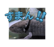770539165