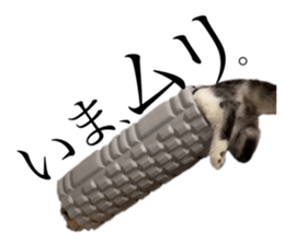 770551756