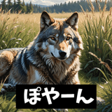 770563051