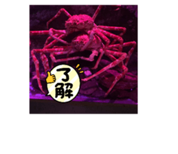 770574728