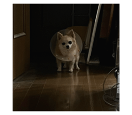 770584050