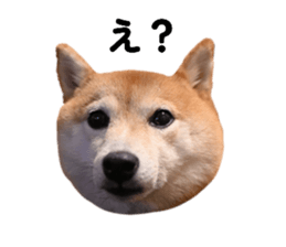 770588801