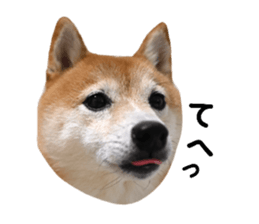 770588803