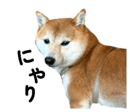 770588806