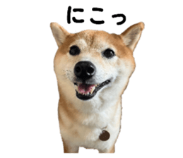 770588811