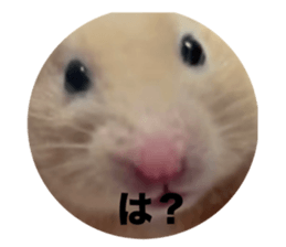 770588882