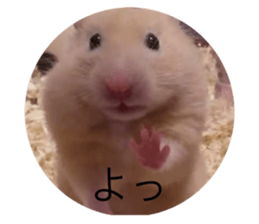 770588885