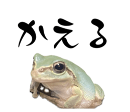 770589615