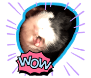 770597799
