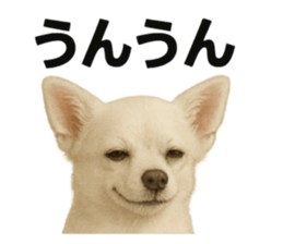 770602234