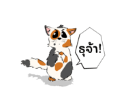770611681