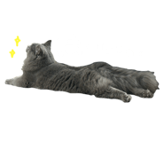 770638388