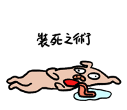 770640181