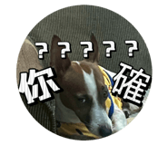 770645411