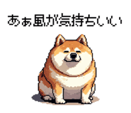770654164