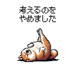 770654167