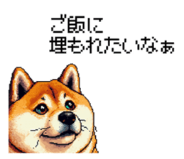 770654172