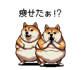 770654173