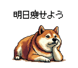 770654187