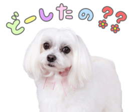 770659398