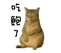 770666456