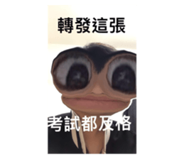 770668009