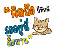 770717135