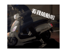 770719818