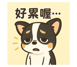 770720650