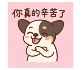 770720654