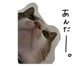 770726659