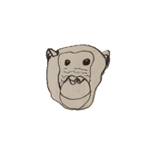 770729259