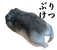 770732456