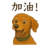 770746627