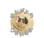 770747376
