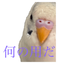 770747715
