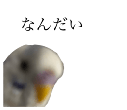 770747718
