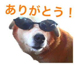 770750412