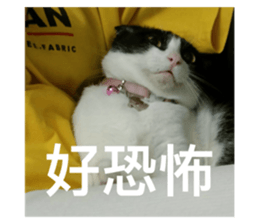 770756189