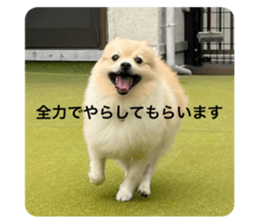 770756794