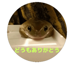 770767884