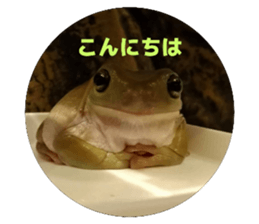 770767887