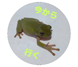 770767888