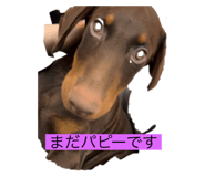 770768810